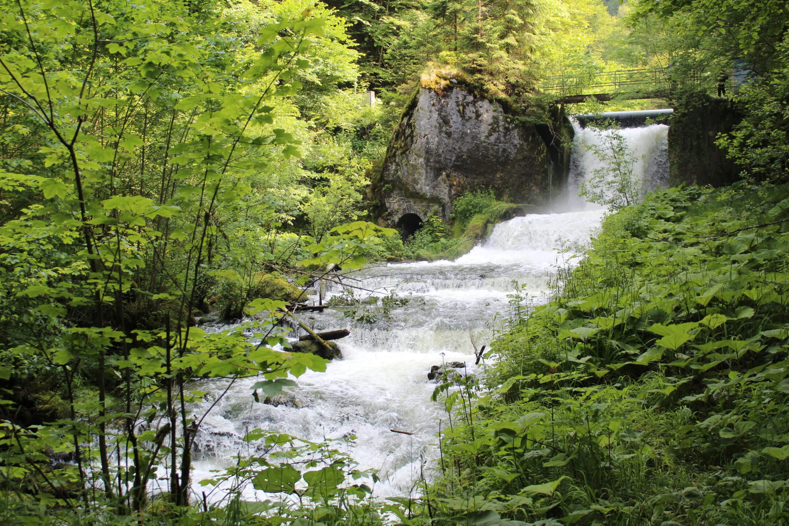 Balade dans les gorges du Pichoux, où se cache un lac vert
