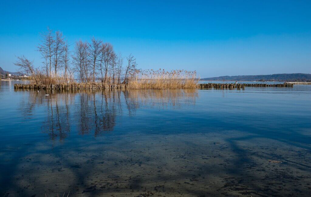 lake, water, shore zone, trees, reflection, lake biel, le landeron, blue, quiet, mood